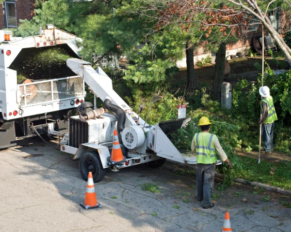 rolloff equipment rentals for Commercial Construction